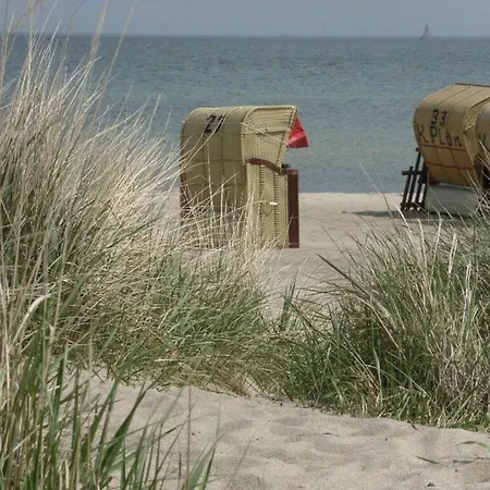 Danish Annik Wolpers *