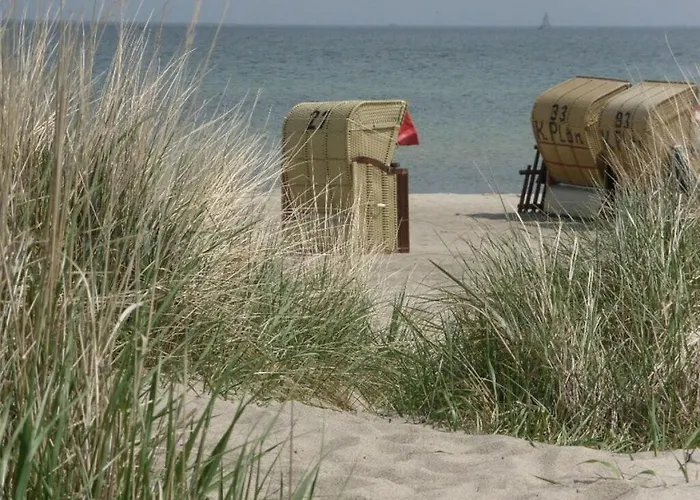 Danish Annik Wolpers *